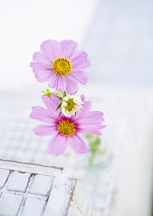 アパートドア交換の完全ガイド！防犯性とコストパフォーマンスを重視した選び方と工事の流れ