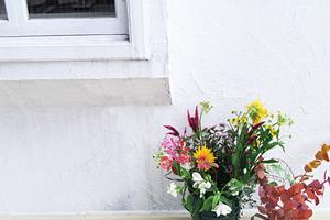 快適な住環境を実現するインプラス内窓のすべて：防音・省エネ効果と導入ガイド