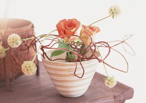 ブースに特化した空間デザインのエキスパート