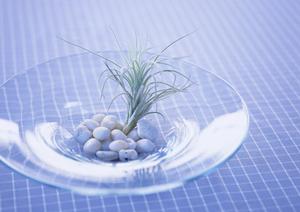 中古家具は選び方が大事になるので注意